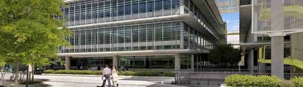 Abogado de derecho administrativo Y CONTENCIOSO ADMINISTRATIVO